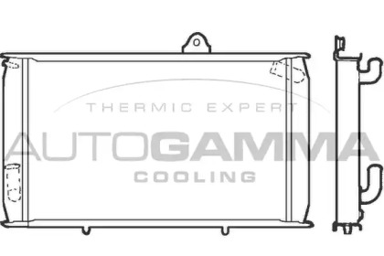 Теплообменник AUTOGAMMA 100025