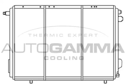 Теплообменник AUTOGAMMA 100034