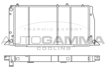 Теплообменник AUTOGAMMA 100043