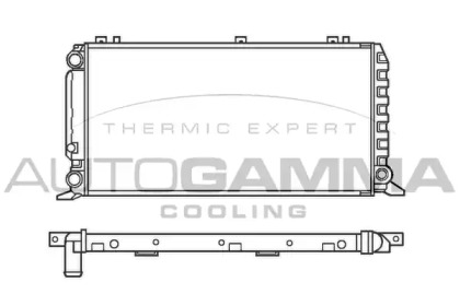 Теплообменник AUTOGAMMA 100047