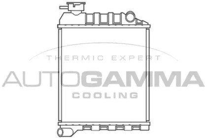 Теплообменник AUTOGAMMA 100075