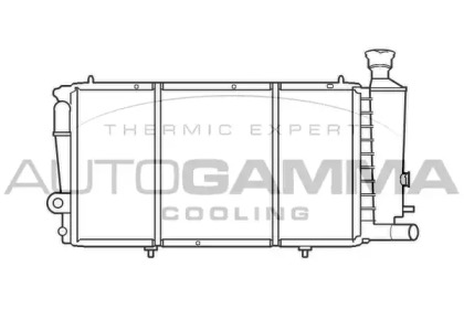 Теплообменник AUTOGAMMA 100172