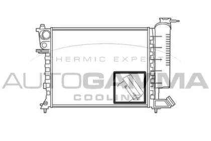 Теплообменник AUTOGAMMA 100213