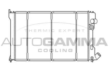 Теплообменник AUTOGAMMA 100219