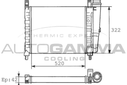 Теплообменник AUTOGAMMA 100287