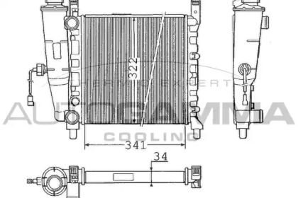 Теплообменник AUTOGAMMA 100313