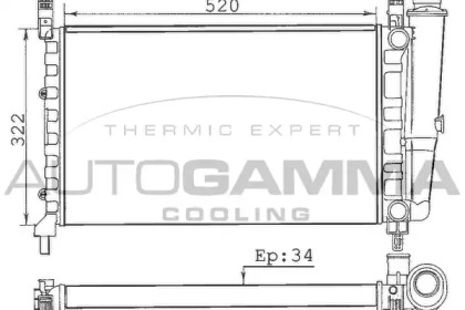 Теплообменник AUTOGAMMA 100317
