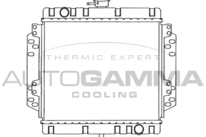 Теплообменник AUTOGAMMA 100322