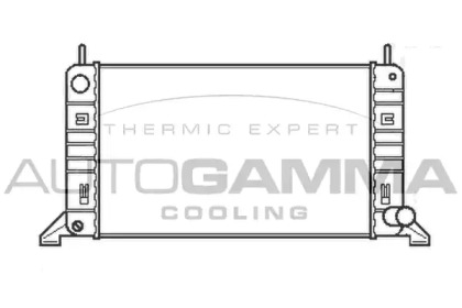 Теплообменник AUTOGAMMA 100344