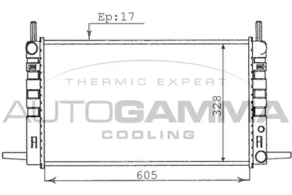 Теплообменник AUTOGAMMA 100362