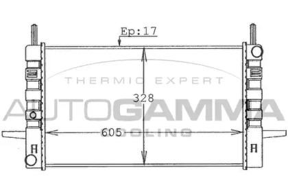 Теплообменник AUTOGAMMA 100385