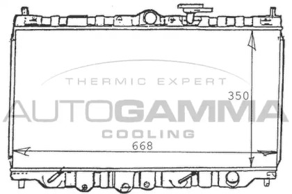 Теплообменник AUTOGAMMA 100407