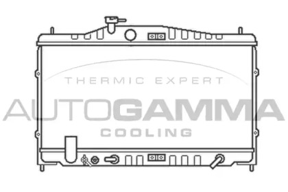 Теплообменник AUTOGAMMA 100427