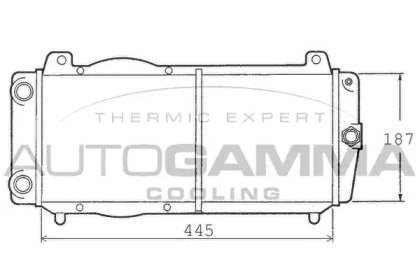 Теплообменник AUTOGAMMA 100439