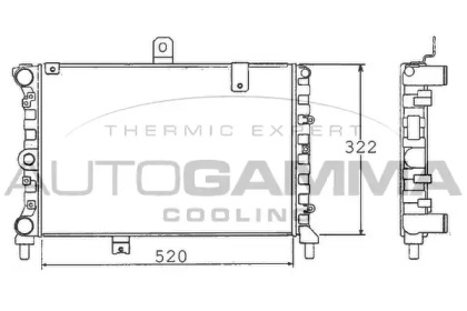 Теплообменник AUTOGAMMA 100452