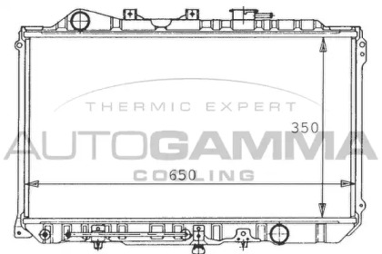 Теплообменник AUTOGAMMA 100496