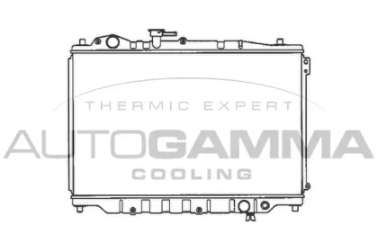 Теплообменник AUTOGAMMA 100499