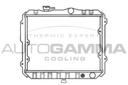 Теплообменник AUTOGAMMA 100563