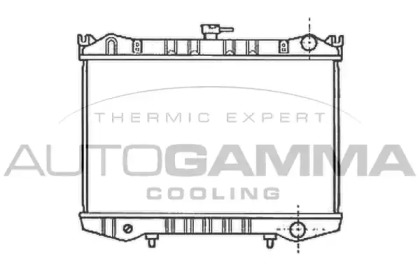 Теплообменник AUTOGAMMA 100620