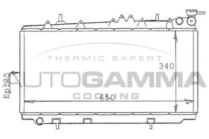 Теплообменник AUTOGAMMA 100629