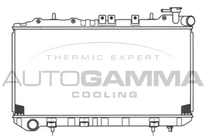 Теплообменник AUTOGAMMA 100650