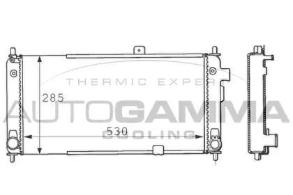 Теплообменник AUTOGAMMA 100661