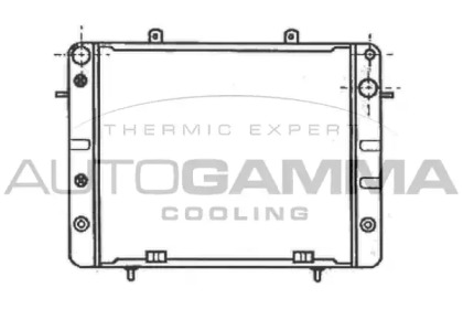 Теплообменник AUTOGAMMA 100699