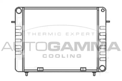 Теплообменник AUTOGAMMA 100701