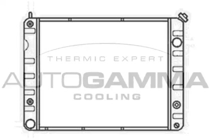 Теплообменник AUTOGAMMA 100789