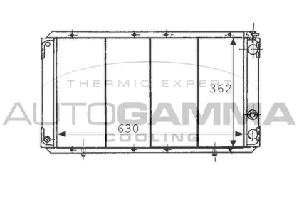 Теплообменник AUTOGAMMA 100914