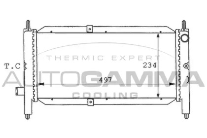 Теплообменник AUTOGAMMA 100920