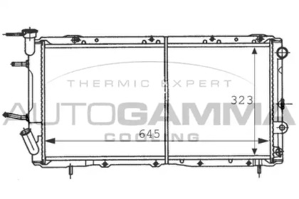 Теплообменник AUTOGAMMA 100973