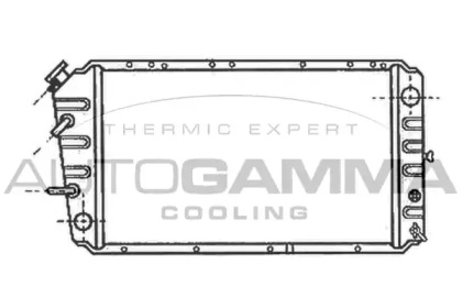 Теплообменник AUTOGAMMA 100974