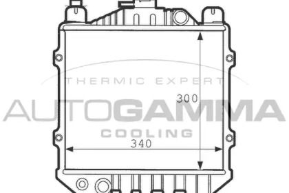 Теплообменник AUTOGAMMA 100977