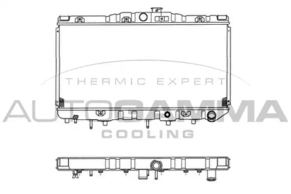 Теплообменник AUTOGAMMA 100994
