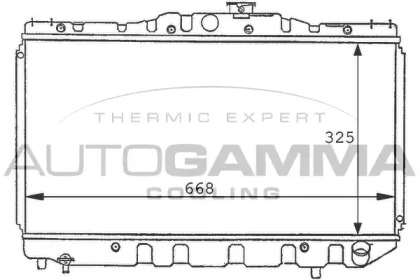 Теплообменник AUTOGAMMA 101003