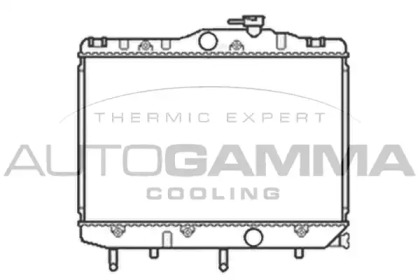 Теплообменник AUTOGAMMA 101030