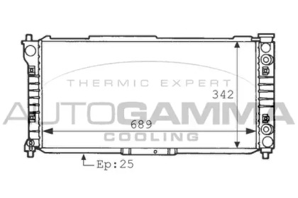 Теплообменник AUTOGAMMA 101130