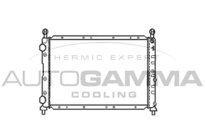 Теплообменник AUTOGAMMA 101141
