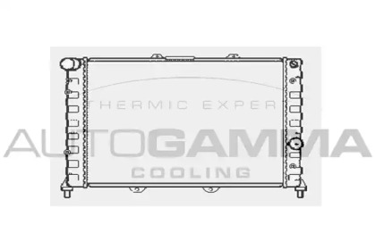 Теплообменник AUTOGAMMA 101145