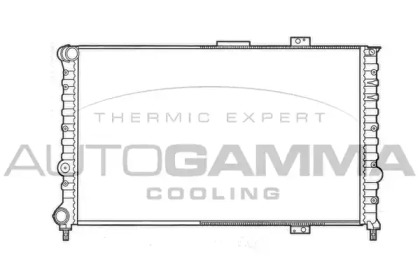 Теплообменник AUTOGAMMA 101148