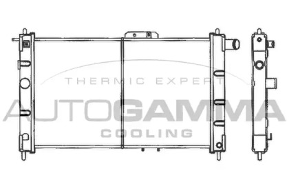 Теплообменник AUTOGAMMA 101159
