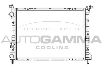 Теплообменник AUTOGAMMA 101191