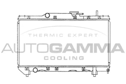 Теплообменник AUTOGAMMA 101268