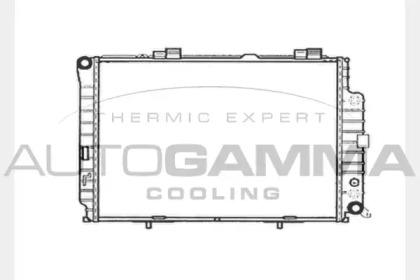 Теплообменник AUTOGAMMA 101382