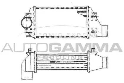 Теплообменник AUTOGAMMA 101482