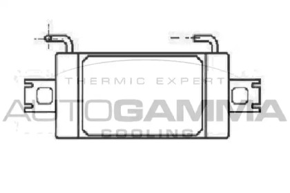 Теплообменник AUTOGAMMA 101541