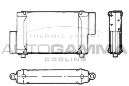 Теплообменник AUTOGAMMA 101558