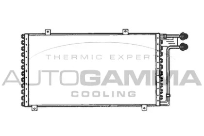 Конденсатор AUTOGAMMA 101584