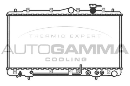 Теплообменник AUTOGAMMA 101591